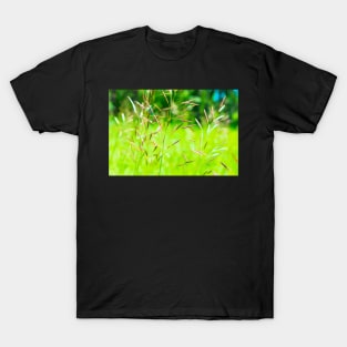 Wild grass illustration T-Shirt